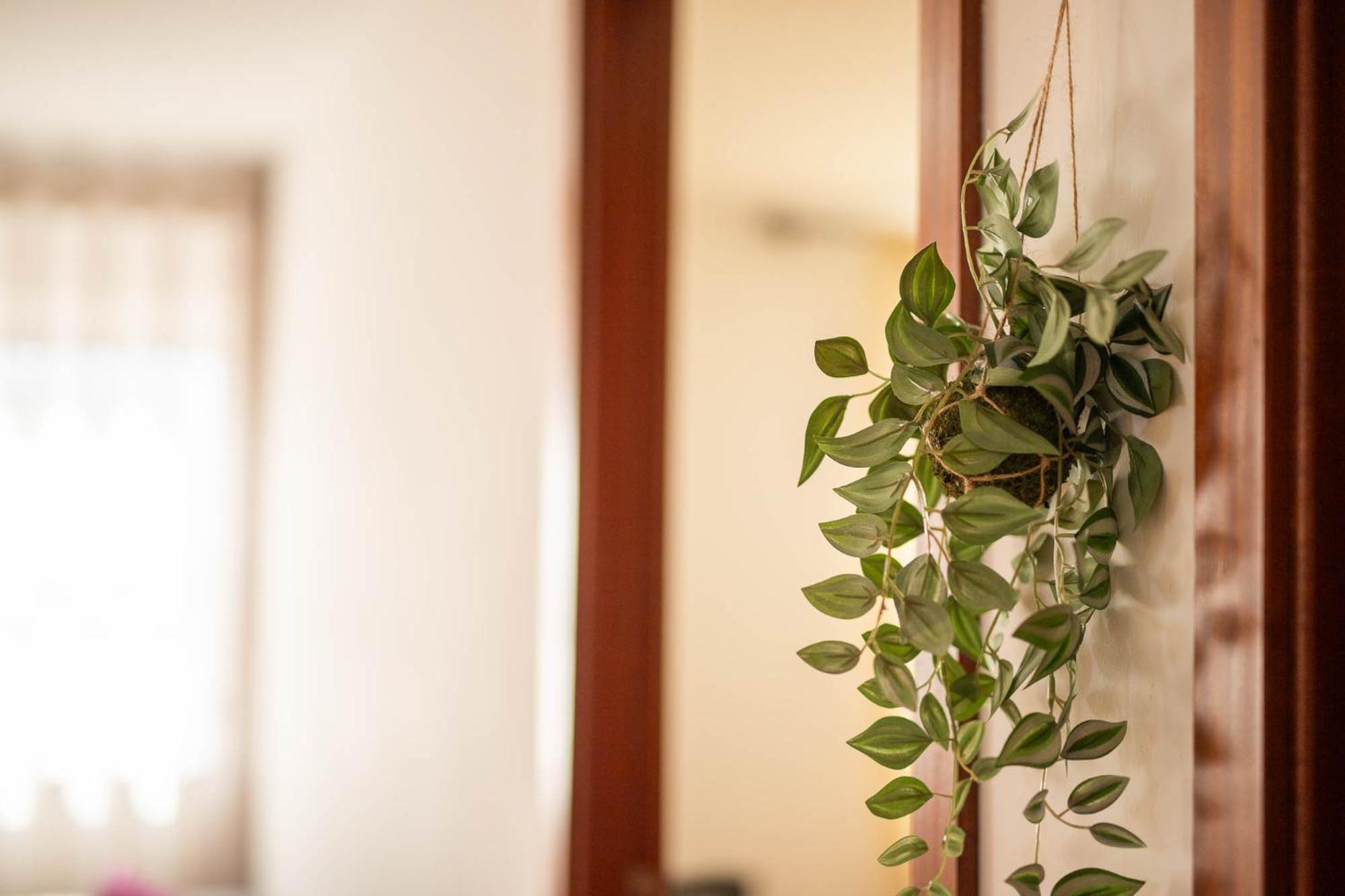 Cisterna Loft Daire Lamego Dış mekan fotoğraf